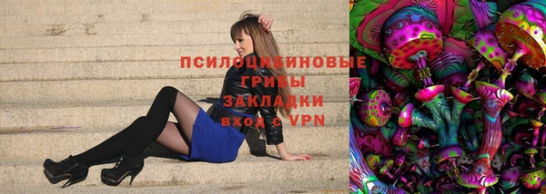 молекула духа Билибино