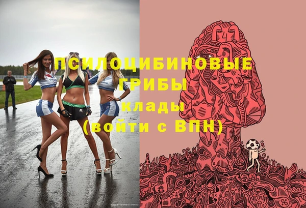 молекула духа Билибино