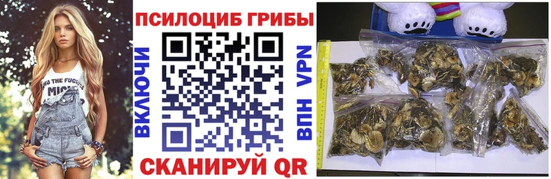 Галлюциногенные грибы прущие грибы  Волгореченск 